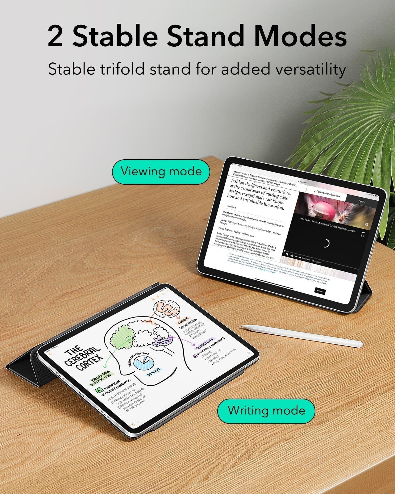 iPad Pro 11 inch(M4/M5) case with 2 stable stand modes